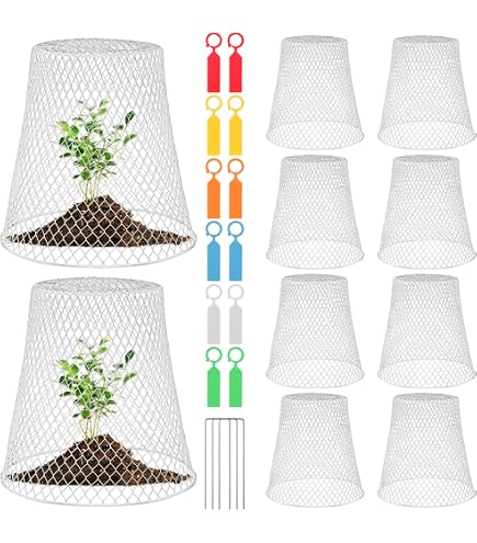 Relaxdays Protezioni Per Piante – Set 32 Coni Protettivi PVC – Antigelo E Antilumaca – Altezza 22 Cm – Viola