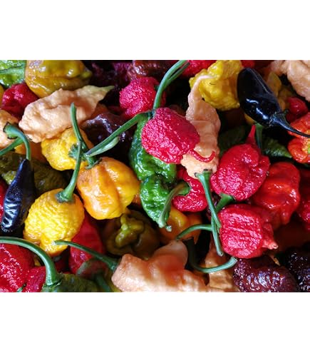 Semi di peperoncino Habanero Peach | 2,00