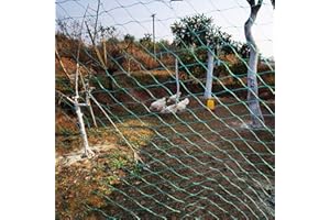 ‎LXGKREL LXGKREL Bird Protection Net Chicken Net Garden Net Poultry Net Green Mesh 4 cm Strong Bird Net Pond Net Fruit Protection Pool Net UV-Resistant Robust