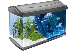 Tetra AquaArt Discovery Line Acuario 60 litros (Juego completo que incluye iluminación LED), Antracita