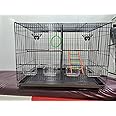 Imported Birds Cages with Removable Partition for Canary,Finches,Budgies,Lovebirds, Cocktail,Conures for All Small and Medium Size Birds with 1 Swing and 1 Ladder and 2 Perch Sticks-Colors May Vary