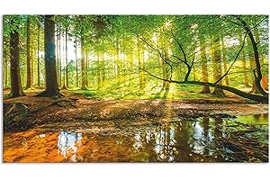 ARTland Spritzschutz Küche aus Alu für Herd Spüle 90x50 cm (BxH) Küchenrückwand mit Motiv Natur Landschaft Wald Bäume Sonne Bach Landhaus Grün T9IO