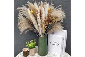 LZGS GO SWING BANDS Flores secas Decoracion Pampas Secas Decoracion Ramo Flores Secas Naturales DIY Ideal para Salón Boho Dormitorio Jarrones (LZGSGO-0105)