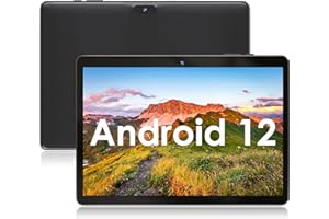 SGIN Tablet 10,1 pollici Android 12, 2 GB di RAM 64 GB di ROM, tablet touch con IPS 800 x 1280 HD, telecamera 2 MP + 5 MP, Bluetooth 4.2, WiFi 2.4 G/5G, GPS, batteria 5000 mAh