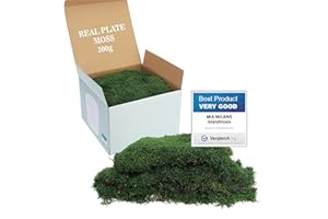 Mia Milano Mousse en Plaque conservée pour Le Bricolage I Mousse Naturelle Durable pour Tableaux de Mousse I Mousse Plate réutilisable