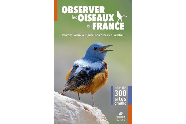 Observer les oiseaux en France: Plus de 300 spots ornitho