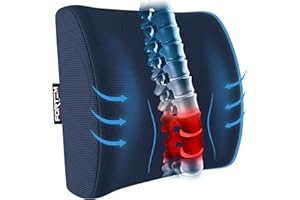 FORTEM Cuscino Lombare per Sedia da Ufficio, Cuscino Auto, Cuscino Sedia Ufficio, Cuscino Memory Foam Ortopedico per Schiena, Cuscino Memory per Scrivania, Fodera Lavabile (Blu)