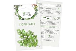 Koriander Samen : Koriander Saatgut für ca. 100 Kräuter Pflanzen – Kräuter Samen für Balkon und Garten – Samen mehrjährig für die Koriander Pflanze – Saatgut Koriander von OwnGrown