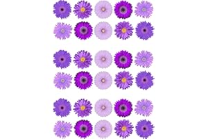 Top That Lot de 30 feuilles de papier gaufrette comestible pour décoration de gâteau - 30 fleurs imprimées individuelles