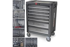 WIDMANN PROFESSIONELLE WERKZEUGE WIDMANN Tool Trolley Cabinet with 263pcs Tools Steel Workshop Storage Chest Carrier ToolBox, Compact One Series (Platinum)