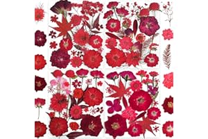 YouthBro Fiori Pressati Secchi Rossa con Adesivi a Farfalla - Fiori Veri Naturali Set di Erbe per Resina Gioielli Fai Da Te Candele Vasi di Sapone Creazione di Carte