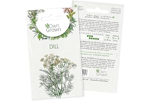 Dill Samen (Anethum graveolens): Premium Kräuter Samen für die Anzucht von ca 600 Dill Pflanzen - Dill Saatgut für Garten Kräuter und Balkon Kräuter - Wildkräuter Samen - Gartenkräuter OwnGrown Samen