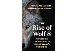 Rise of Wolf 8: Witnessing the Triumph of Yellowstone's Underdog (The Alpha Wolves of Yellowstone, 1)