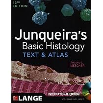 Buy Junqueira's Basic Histology: Text and Atlas, 13/e (Int'l Ed