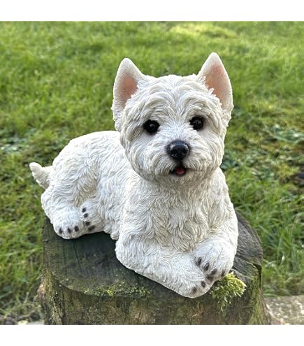 Figurine Westie Leonardo - Chien Terrier Blanc En Résine - 10x15 Cm Avec Coffret Cadeau