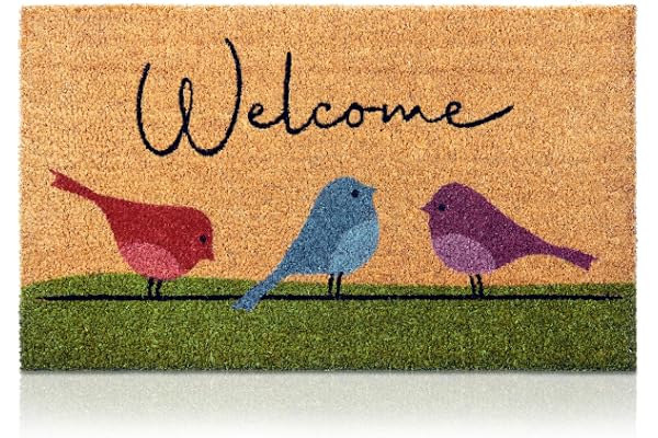 Paillasson oiseaux colorés en fibre de coco - 70 x 40 cm - Paillasson antidérapant - Paillasson original pour l'entrée de la maison, les couloirs, les portes extérieures - Accessoires pour la maison -