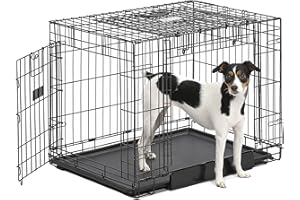 MidWest Homes for Pets Medium Ovation Double Door 30-inch Folding Metal Dog Crate, Front and Up & Away Side Doors, Space-Saving Design