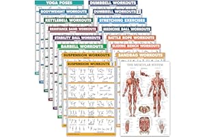 Palace Learning 16 Pack - Exercise Poster Set: Dumbbell, Suspension, Kettlebell, Resistance Bands, Medicine Ball, Battle Rope, Stretching, Bodyweight, Barbell, Yoga, Exercise Ball, Muscular