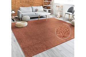 PACO HOME Tappeto per soggiorno tinta unita semplice e moderno pelo corto, div. misure e colori, Dimensione:200 cm quadrato, Colore:Rame