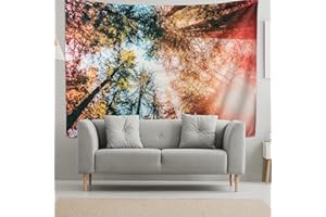 riijk Arazzo da parete Foresta extra grande, 250 x 180 cm, motivo "Wald Himmelblick blick", anche come coperta da picnic, grande telo da parete per una grande atmosfera di spazio