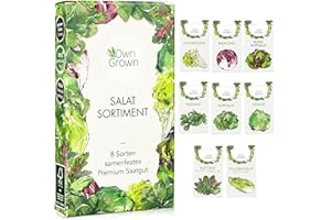 Salat Samen: 8 Sorten Salat Saatgut Set für Garten und Balkon – Kopfsalat Samen, Blattsenf, Feldsalat Samen winterhart, Radicchio, Endiviensalat Samen, Zichorie – Salat Gemüse Samen von OwnGrown