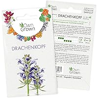 Moldawischer Drachenkopf Samen: Premium Drachenkopf Saatgut für ca. 60x blühende Wildblumen Pflanzen – Schöne Essbare…