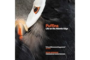 Puffins: Life on the Atlantic Edge