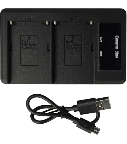 Carregador De Bateria Sony Np-bg1 E Np-fg1 Bc-csgb N50 - Escorrega o Preço