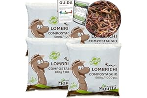 MOUTTA WormBox Lombrichi da 2kg (Circa 4,000 pz.) | Vivi lombrichi Eisenia, introduci/Aggiungi Vermi nel Tuo Giardino o orto, Riproduzione Molto Veloce
