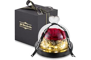 Glasseam Infinity Rosen Geschenke für Freundin, Rot Ewige Rose im Glas mit Licht, Konservierte Rose Blumen, Haltbare Rose für Valentinstag Weihnachten Hochzeitstag Frauen Geschenk