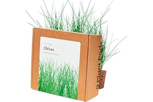 CLICK & GROW Schnittlauch Click and Grow, Nachfüll Pack, 9-pack, Indoor System, Smart Garden für Ihr Zuhause, starkes Aroma für die Küche