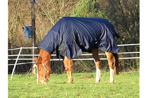 Turners Heavyweight Combo 350g Fill Waterproof Winter Turnout Rug with Neck 600d Ripstop