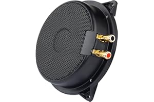 SINTRON Altavoz Body Coctelera Extreme 100 W Auto Asiento Silla sillón