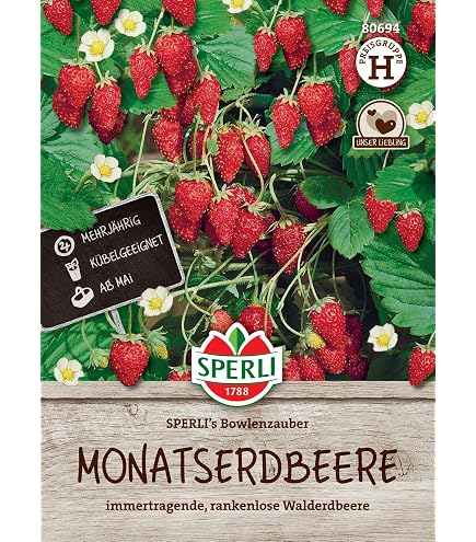 wei Himbeere 10 Samen -se Sorte voll von Antioxidantien (Raspberry  Yellow) : Amazon.de: Garten
