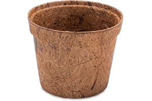 ProFlora® Kokos Anzuchttöpfe für eine erfolgreiche Anzucht - Abbaubare Pflanztöpfe ideal für Stecklinge, Setzlinge & Samen (200ml, 20 Stück)