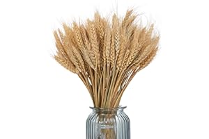 Ruiuzioong Getrocknete Weizenstiele, 100 Stiele, 100% natürliches Weizen, Dekor für Zuhause, Küche, Weihnachten, Hochzeit, 40 cm Länge (Braun, 40 cm)