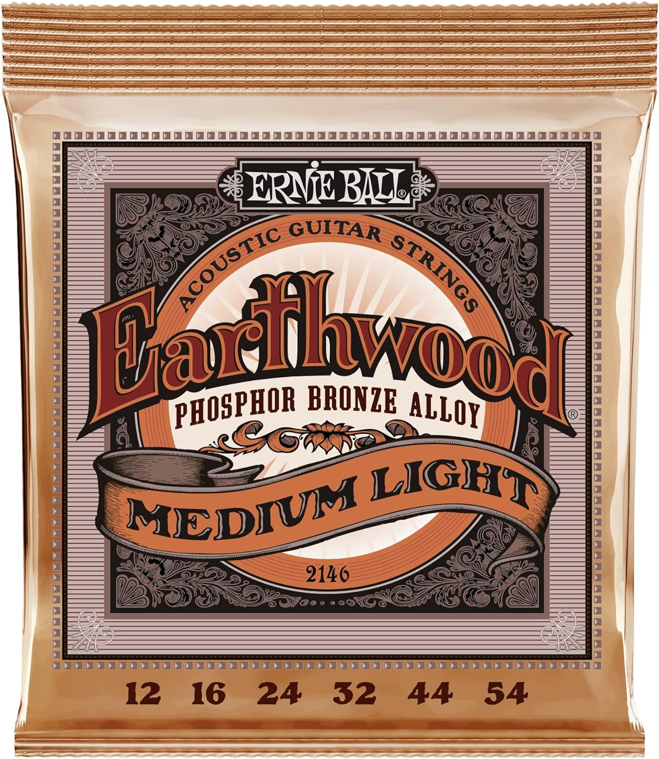 Prise en Main & Utilisation au Quotidien : Ernie Ball Earthwood Medium Light Phosphor Br