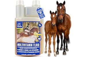 EMMA Multi Vitamina b Complex Cavallo I Vitamine per Cavalli - con vitamina C K B1 B2 B6 B12 Acido folico Zinco Cavallo I B Vitamine complesso Sistema immunitario Vit b Mangime per puledri 1L