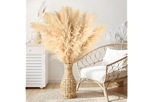 VORTIX Pack de 10 Pampas secas Decoracion Grandes – Pampas Gigantes en Flores secas Decoracion para Estilo Boho, Ideal para salón, Dormitorio, Comedor, Bodas y hoteles