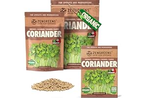 ZenGreens® - Organic Coriander Sprouting Seeds - Choose Between 10g, 200g and 500g - Coriander Seeds with a Germination Rate of Over 97% - Microgreens - Sprouts