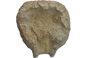 wasserkaskaden Petite Extension pour Cascade Fulda Fels, Beige/Brun, 42 x 41 x 9 cm