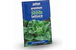 Jamieson Brothers® Lettuce Little Gem Vegetable Seeds (Approx. 800 seeds) - Premium Quality Seeds to Grow Your Own Food At Home, in The Garden Or At The Allotment