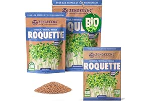 ZenGreens® - Graines de roquette bio - Choisissez entre 10g, 200g et 500g - Graines de roquette avec un taux de germination supérieur à 97% - Microgreens