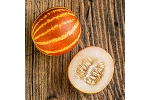 PREMIER SEEDS DIRECT - Melon - Queen Annes - 30 Seeds