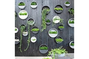 Finestgreen Hanging Wally Pflanzgefäß Grau | Wandgefäß zum bepflanzen (XS Ø:30 T:7 cm, Grau) | Pottery Pots