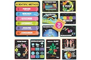 JACKINTHEBOX Jack In The Box 12 Science Posters - 12 x 17 inches Laminated, Middle & High School Classroom Decor, Bulletin Board Sets