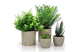 Belle Vous Pack de 4 Plantas Artificiales Decorativas en Macetas para Interior - Eucalipto, Sansevieria y Suculenta - Plantas Decorativas Artificiales Oficina, Escritorio / Mesa, Dormitorio o Cocina