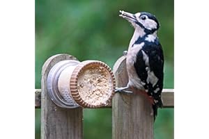 Flutter Butter® - Comedero de Pared para jardín y pájaros Silvestres, comedero Jacobi Jayne® Flutter Butter cobertizos de jardín y Vallas