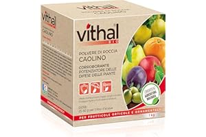 Integratore Caolino Vithal Bio