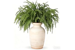 HANYUN 30 Pcs Christmas Norfolk Pine Branches, 14Inch Christmas Real Touch Norfolk Stem Artificial Needle Branche Artificial Greenery Pine Needle Branches for Xmas Garland Wreath DIY Crafts Home Decor